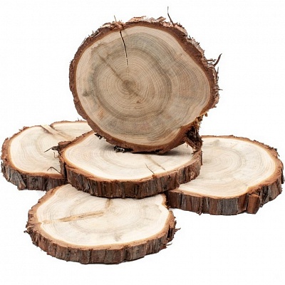 ����  �������������