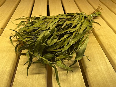 ����� ������������